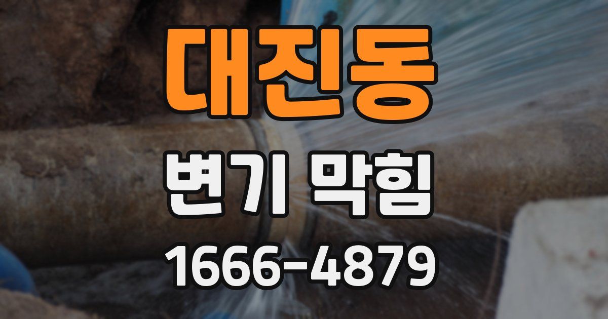 대진동 변기 막힘