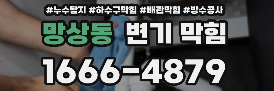 망상동 변기 막힘