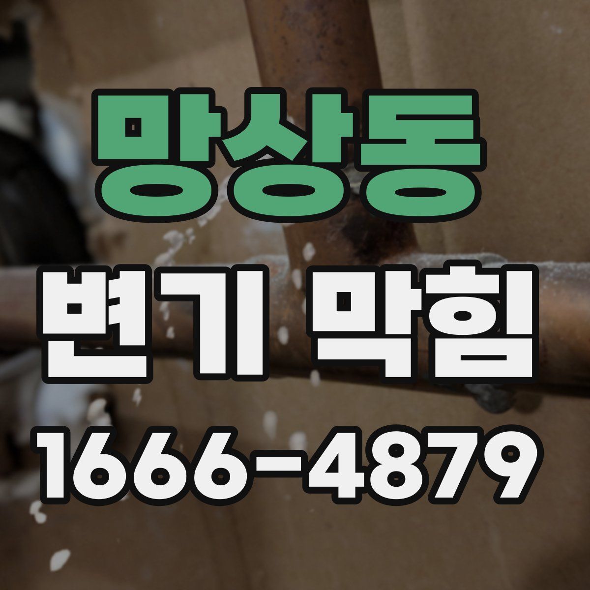 망상동 변기 막힘
