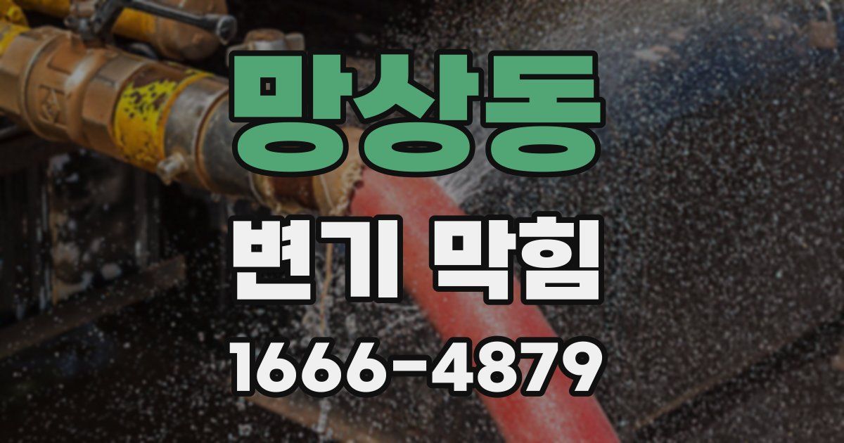 망상동 변기 막힘