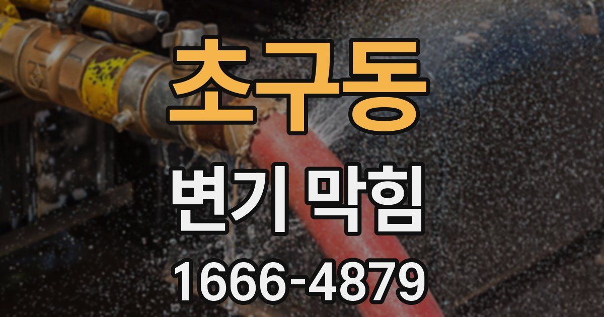 초구동 변기 막힘