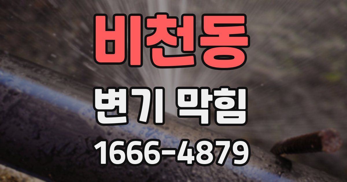 비천동 변기 막힘