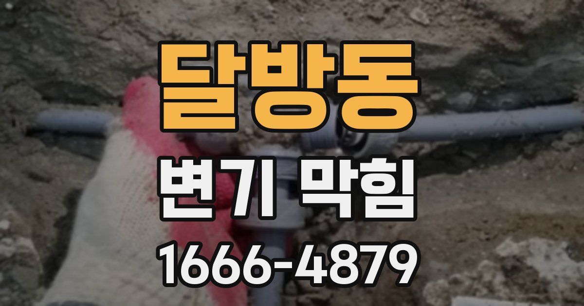 달방동 변기 막힘