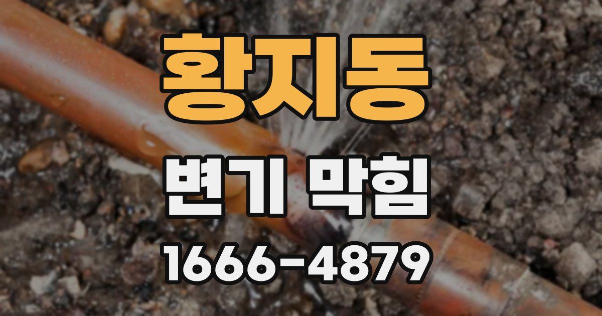 황지동 변기 막힘