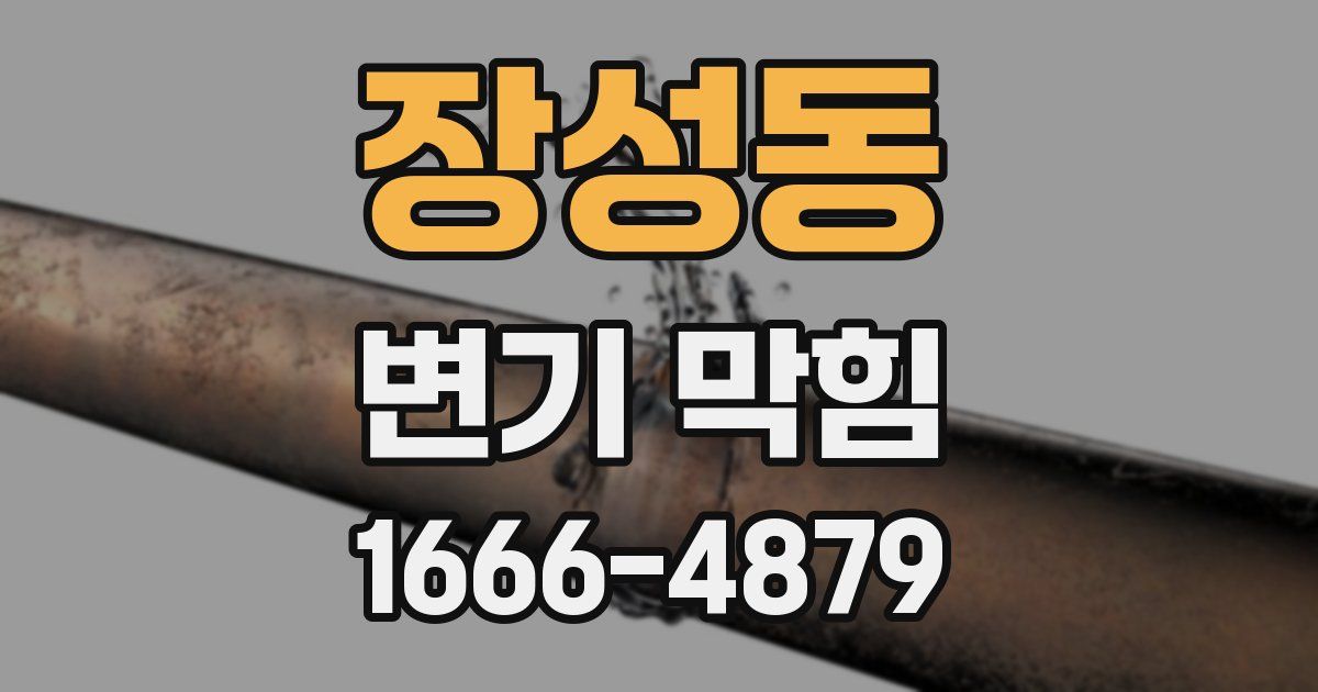 장성동 변기 막힘