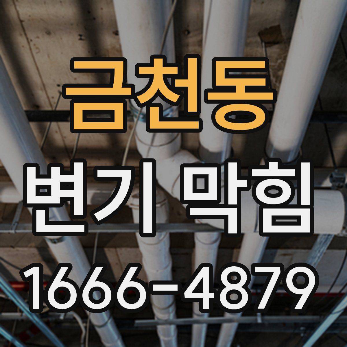 금천동 변기 막힘