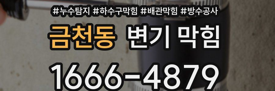 금천동 변기 막힘
