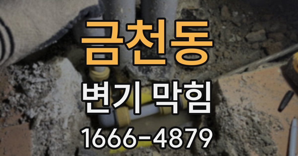 금천동 변기 막힘