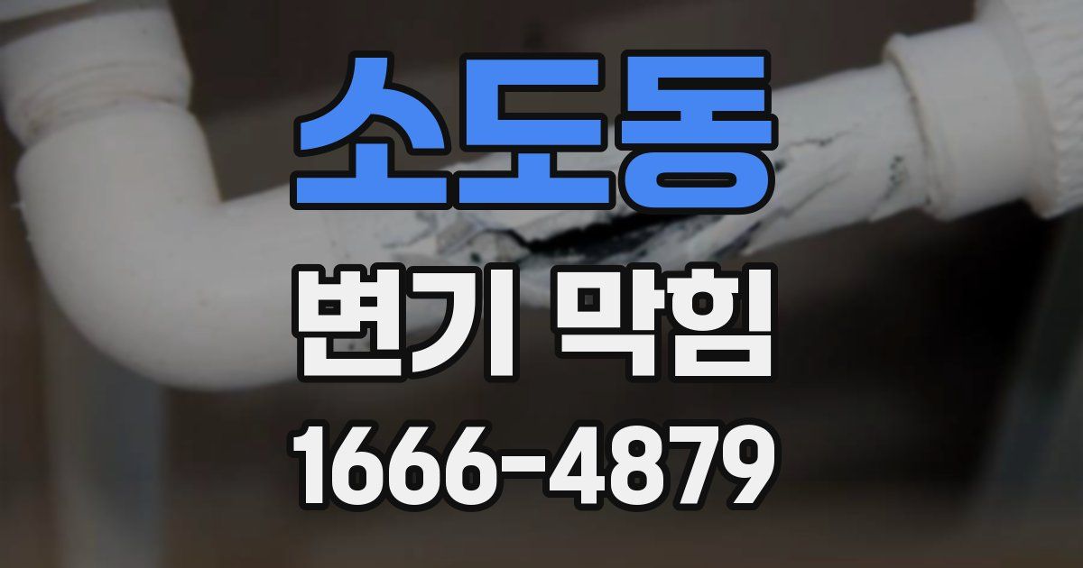 소도동 변기 막힘