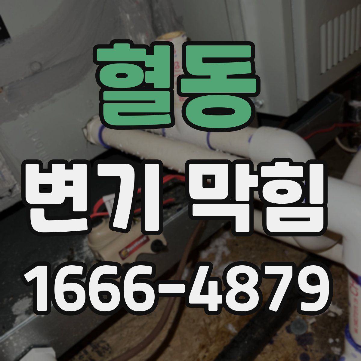 혈동 변기 막힘
