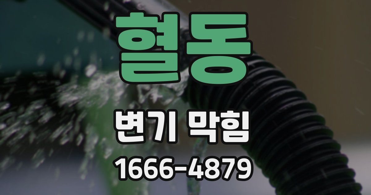 혈동 변기 막힘