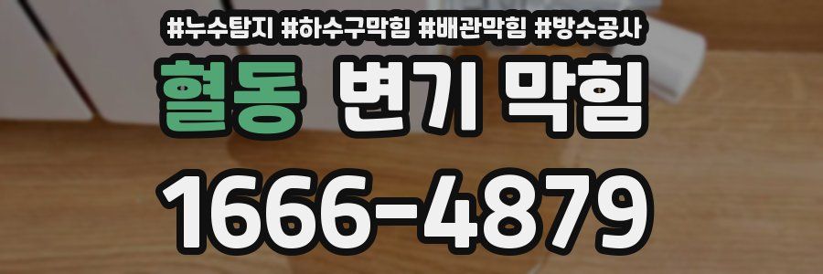 혈동 변기 막힘
