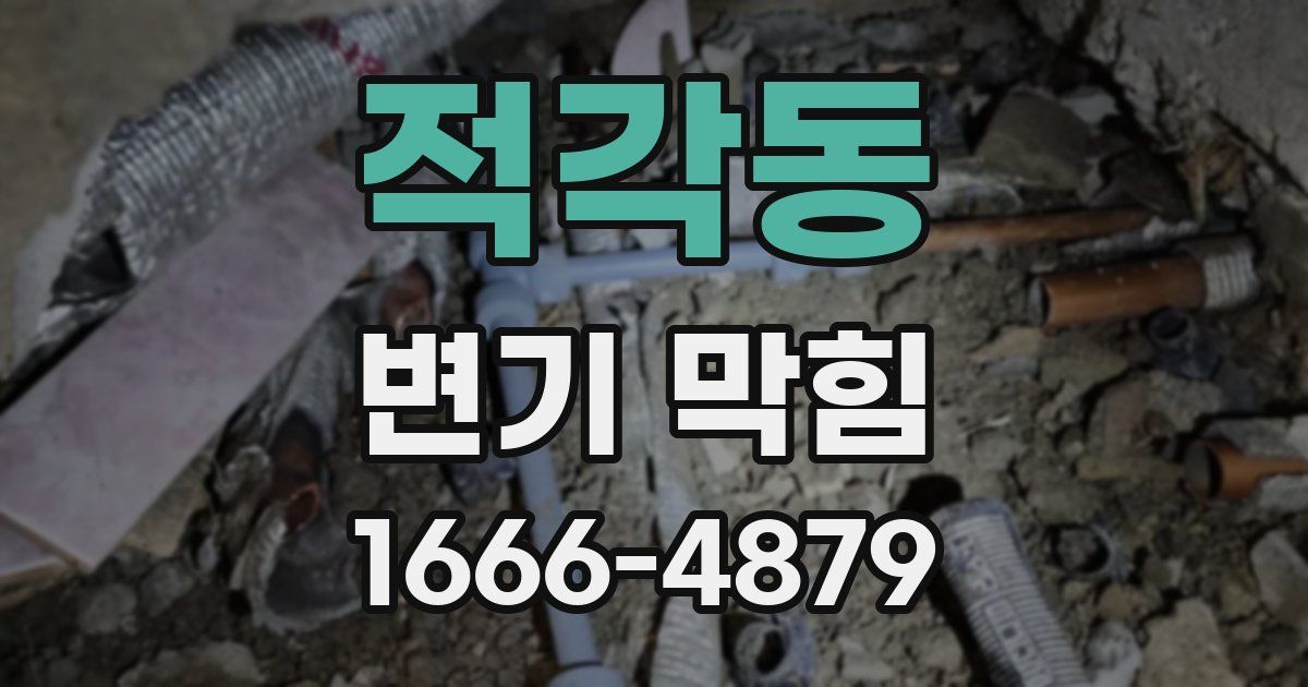 적각동 변기 막힘