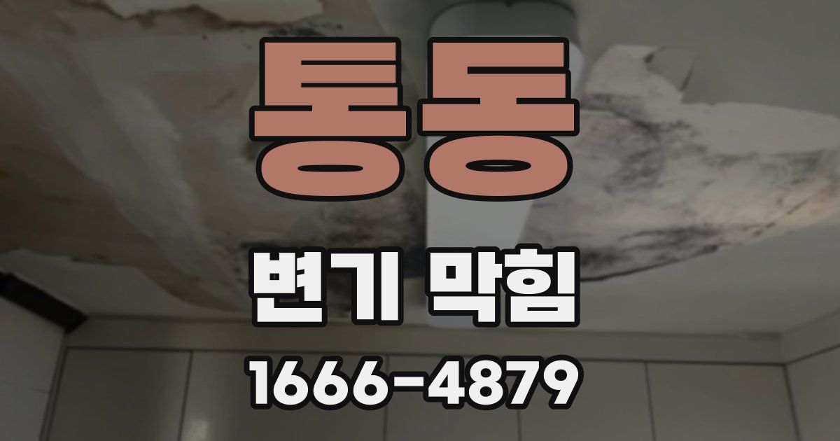 통동 변기 막힘