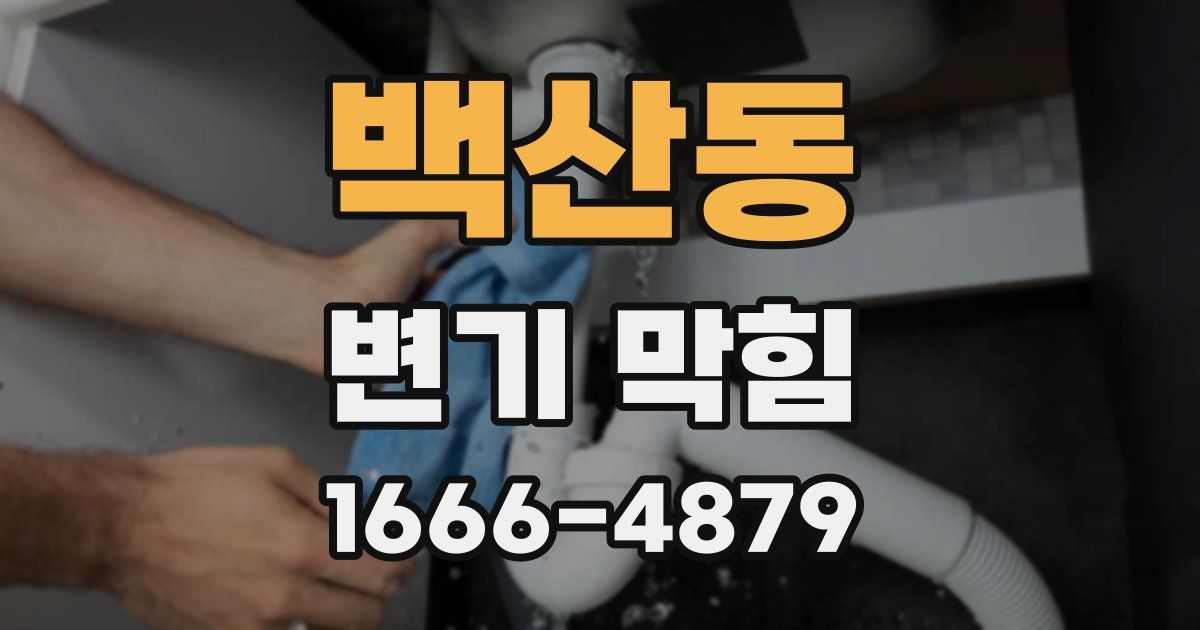 백산동 변기 막힘