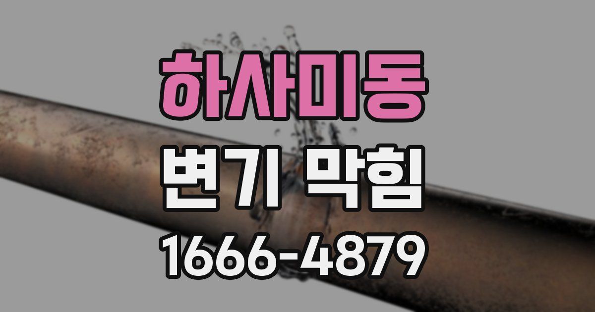 하사미동 변기 막힘