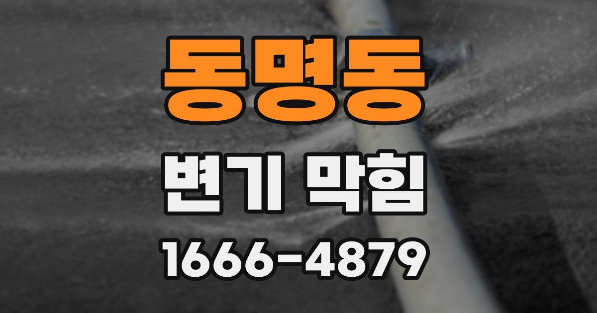 동명동 변기 막힘