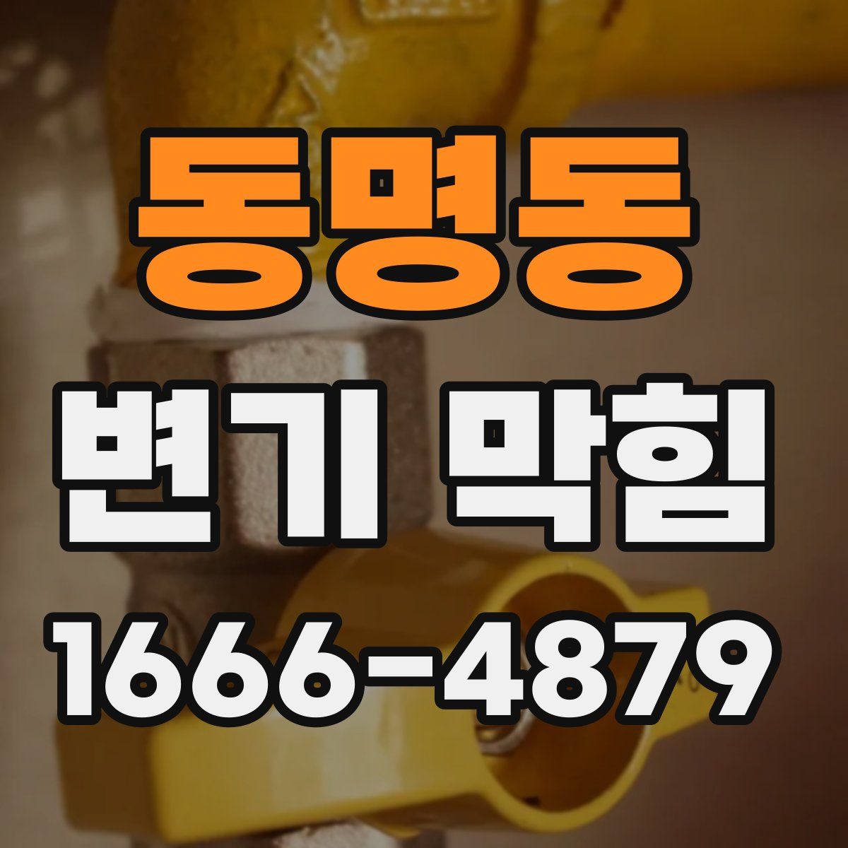 동명동 변기 막힘