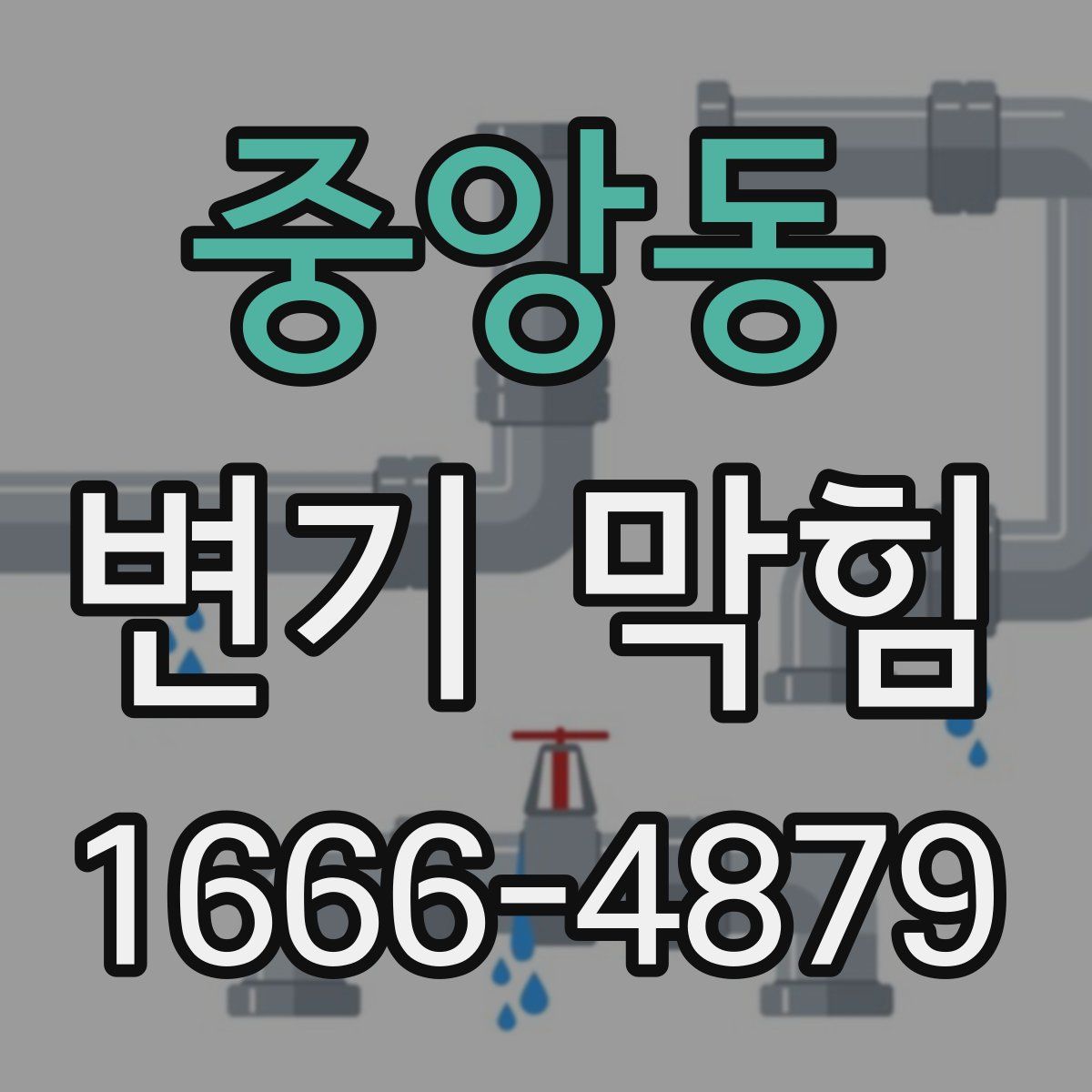 중앙동 변기 막힘
