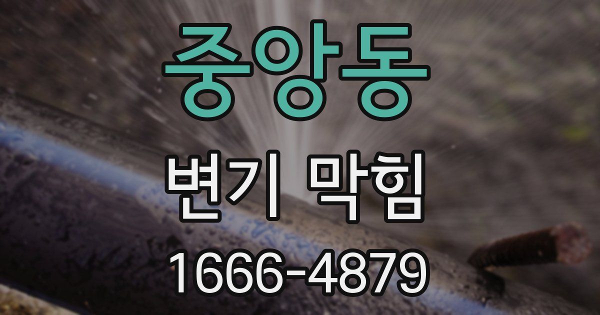 중앙동 변기 막힘