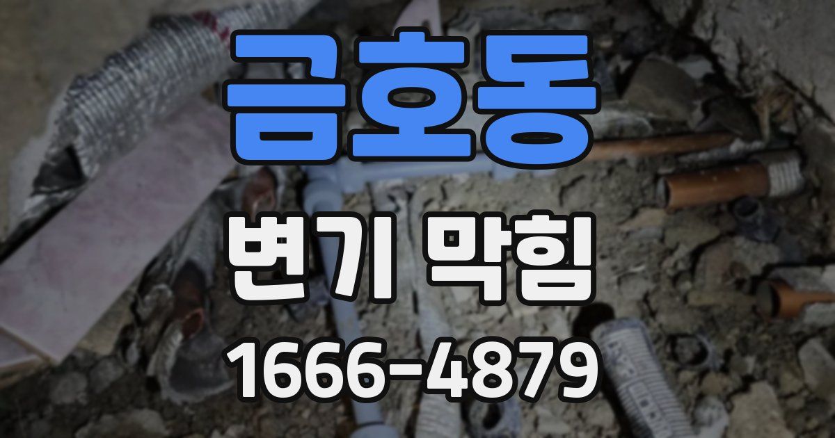 금호동 변기 막힘