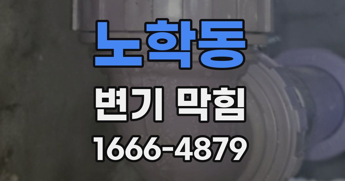노학동 변기 막힘