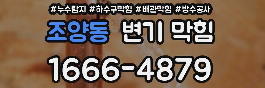 조양동 변기 막힘