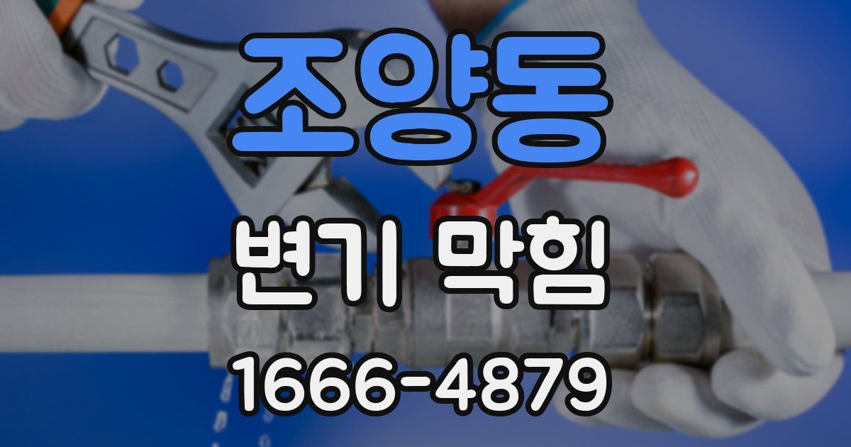 조양동 변기 막힘
