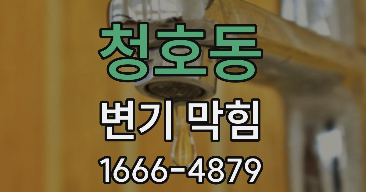 청호동 변기 막힘