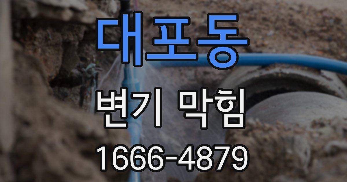 대포동 변기 막힘