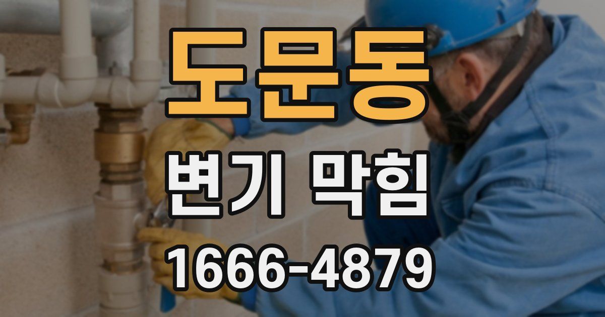 도문동 변기 막힘