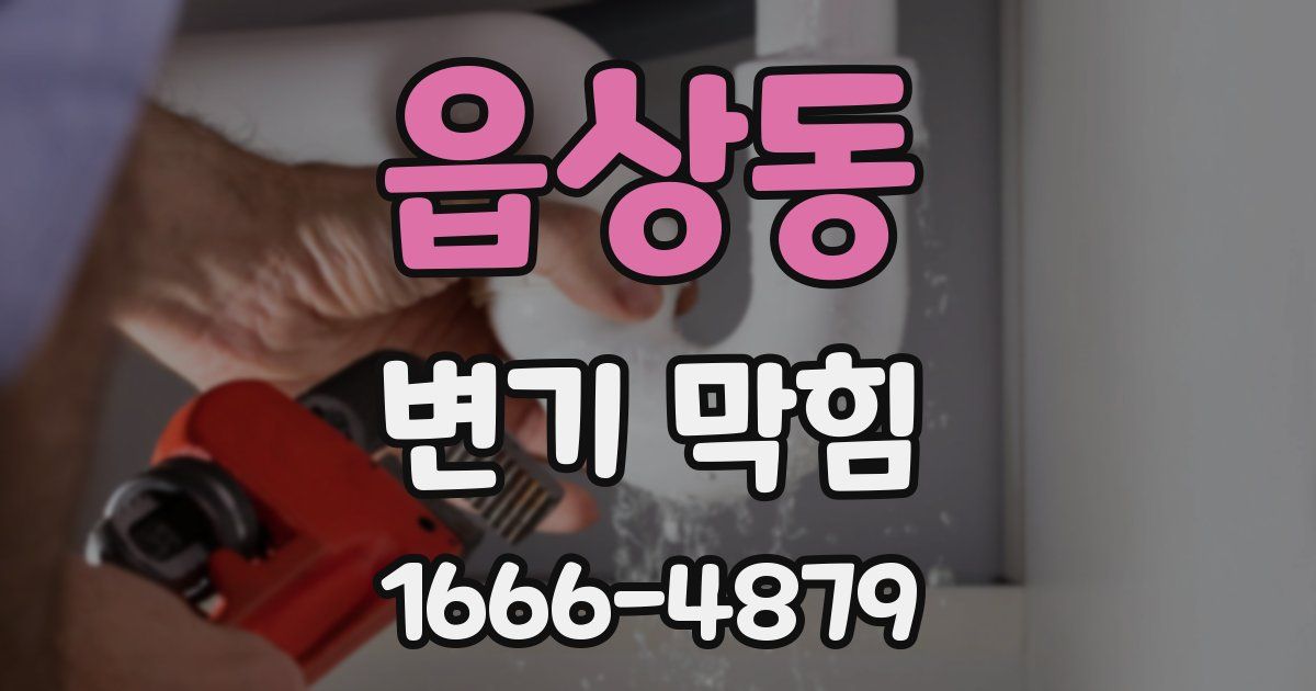 읍상동 변기 막힘