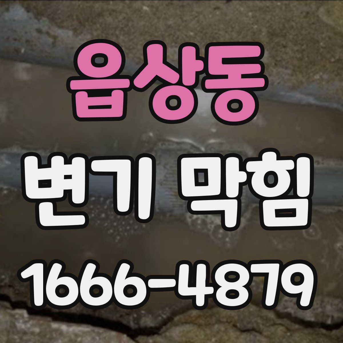 읍상동 변기 막힘