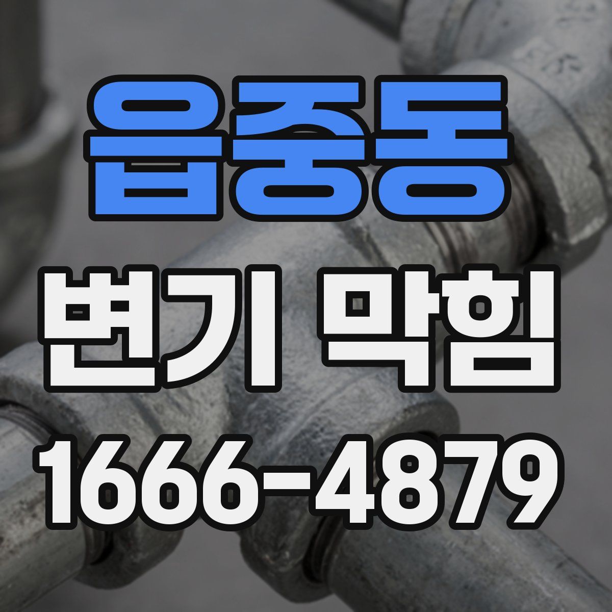 읍중동 변기 막힘