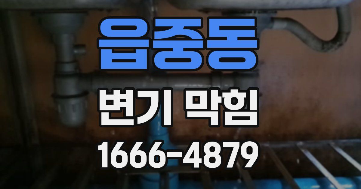 읍중동 변기 막힘
