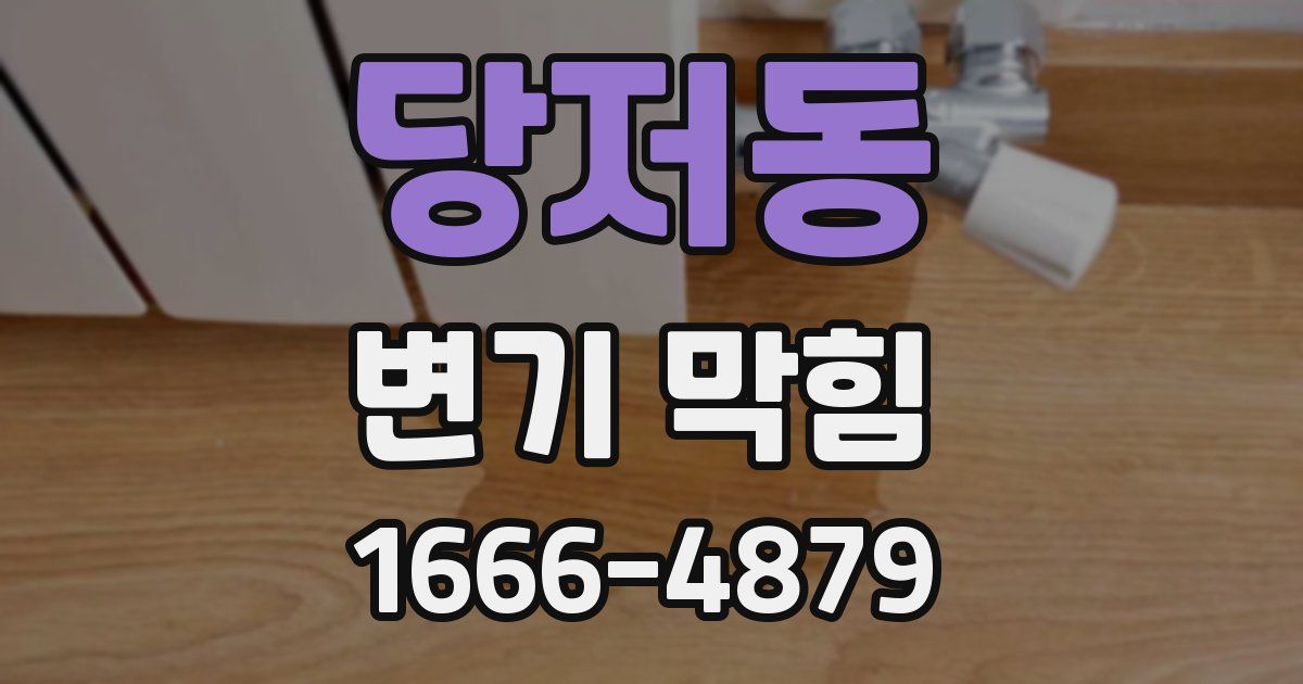당저동 변기 막힘