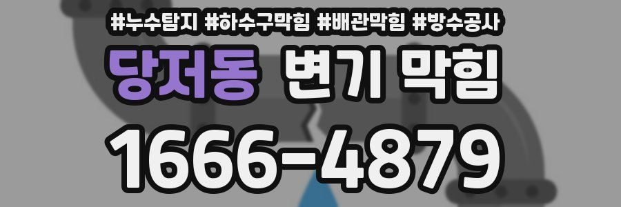 당저동 변기 막힘