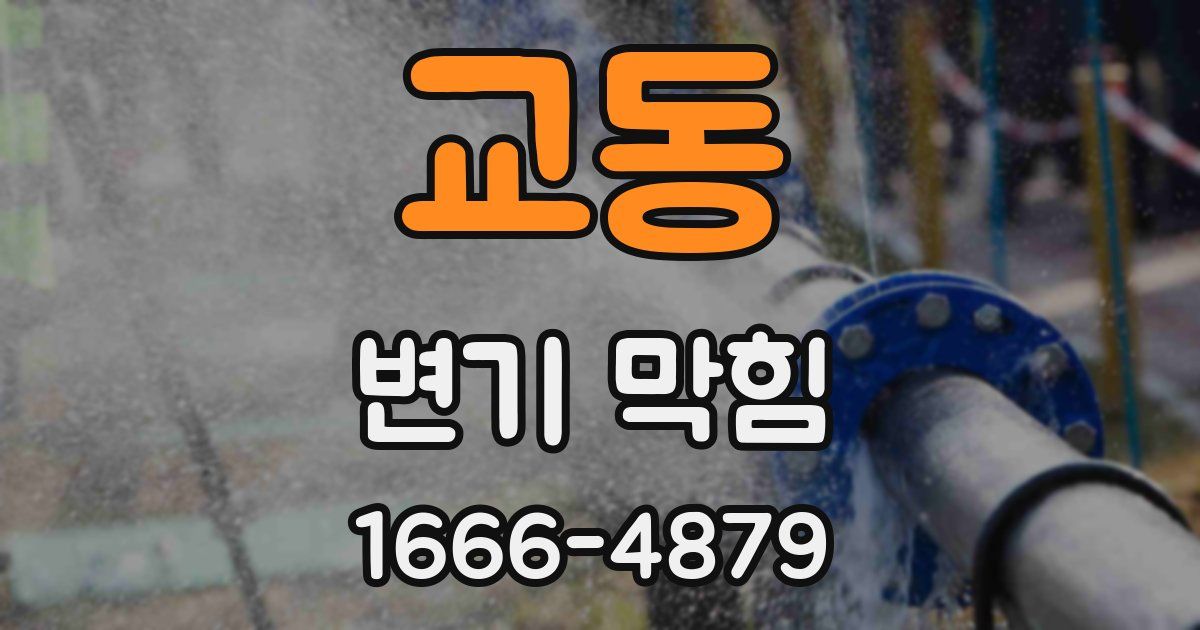 교동 변기 막힘