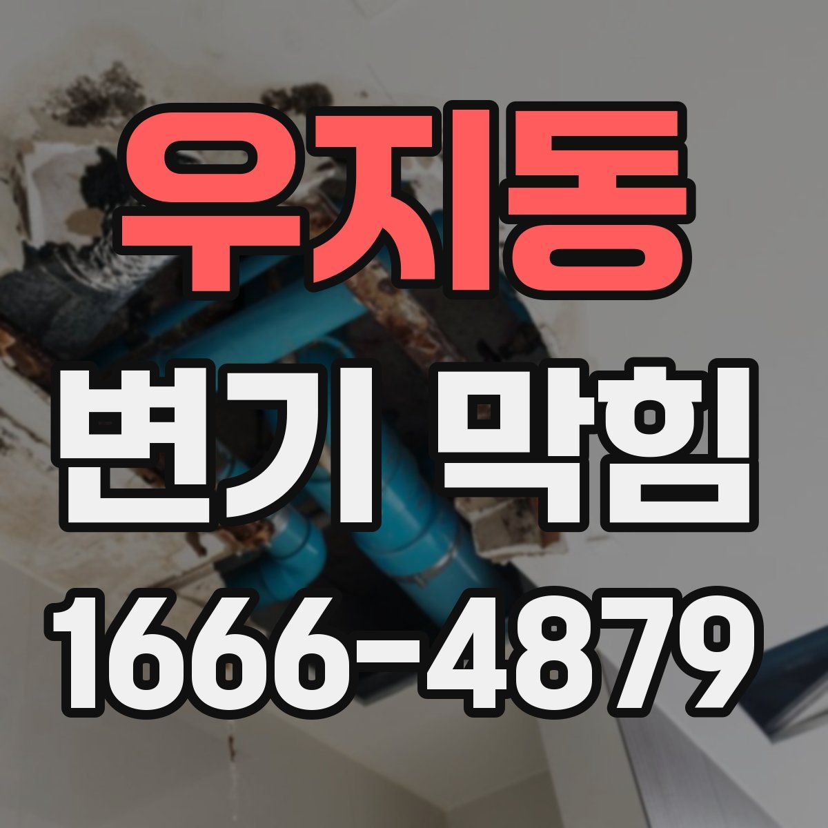 우지동 변기 막힘