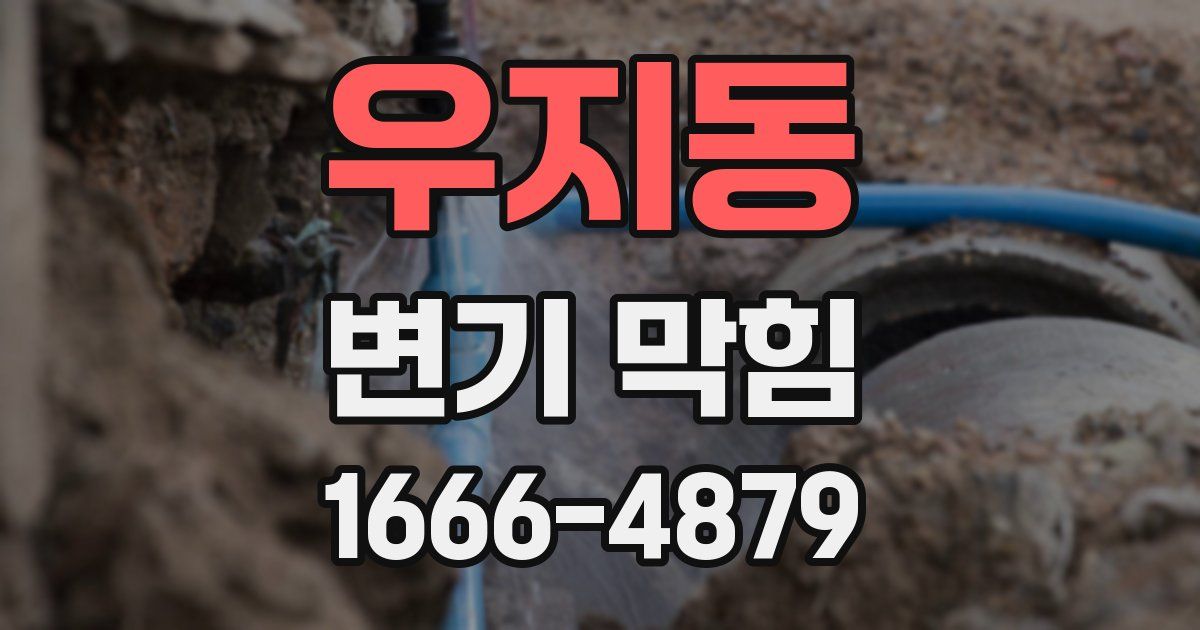 우지동 변기 막힘