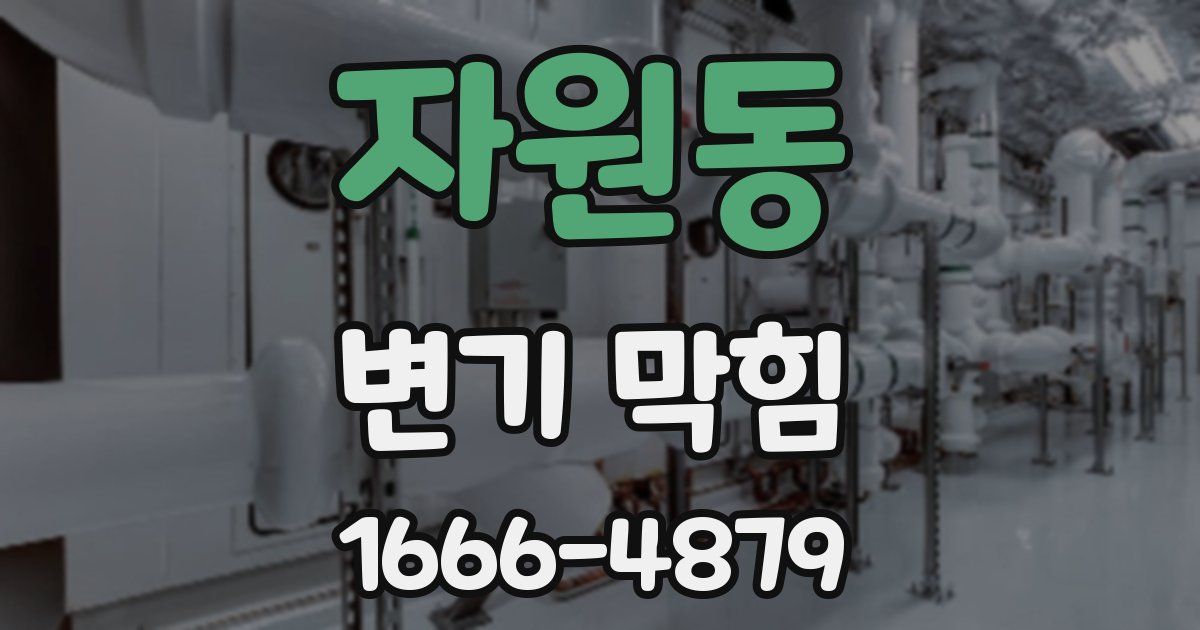 자원동 변기 막힘