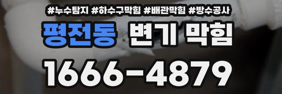 평전동 변기 막힘