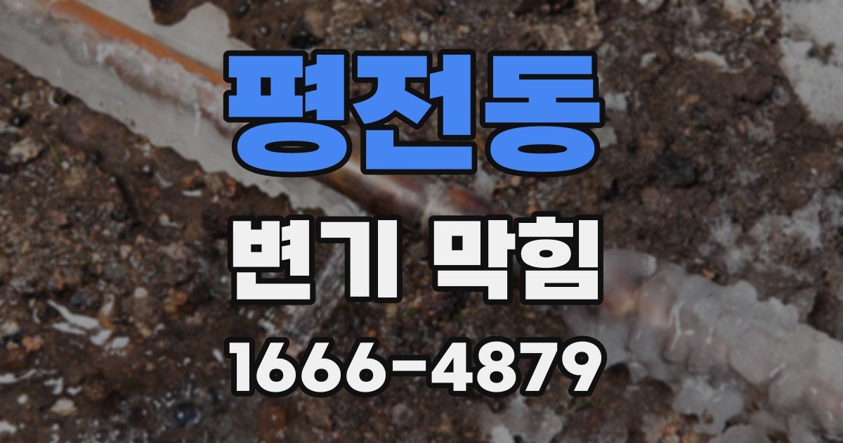 평전동 변기 막힘