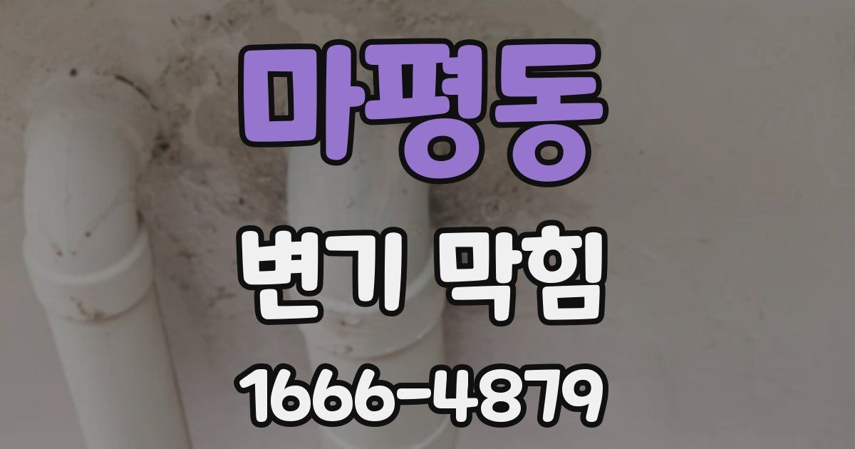 마평동 변기 막힘