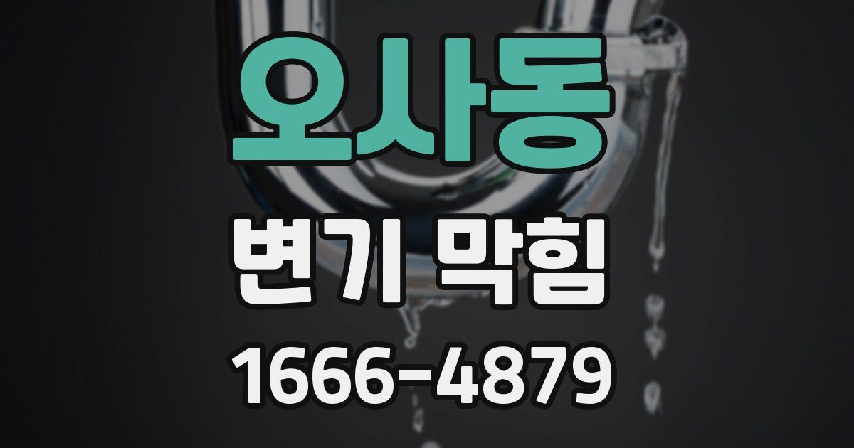 오사동 변기 막힘