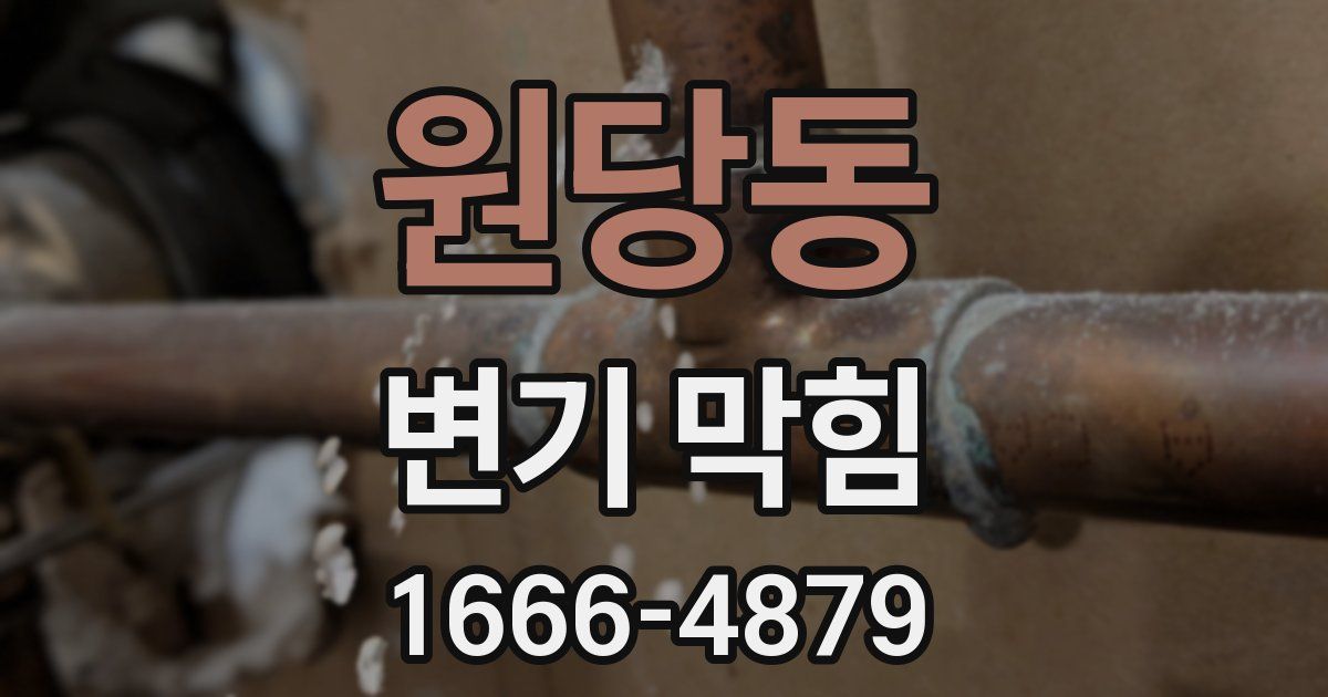 원당동 변기 막힘