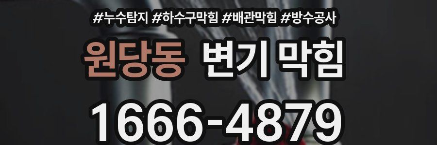 원당동 변기 막힘