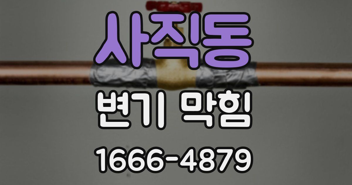 사직동 변기 막힘