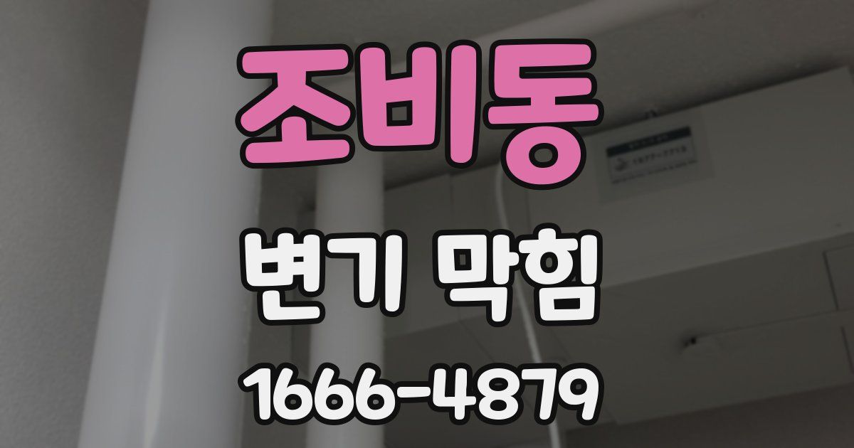 조비동 변기 막힘