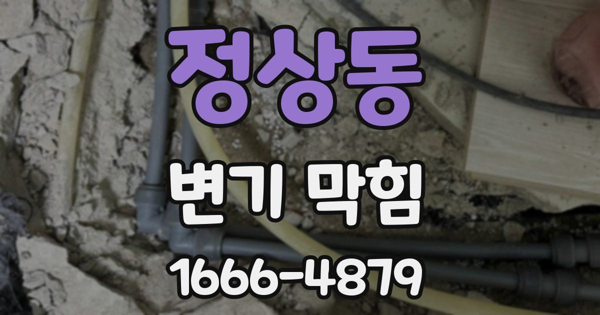 정상동 변기 막힘